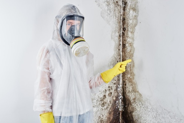 Mold removal cost