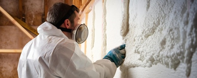 Mold removal cost