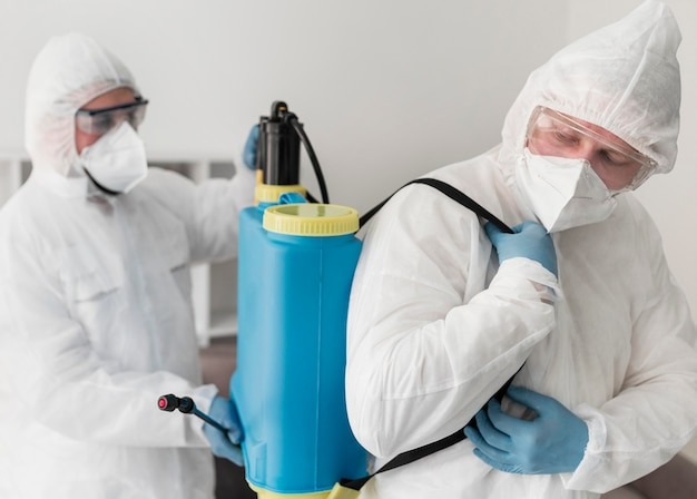 black mold remediation process