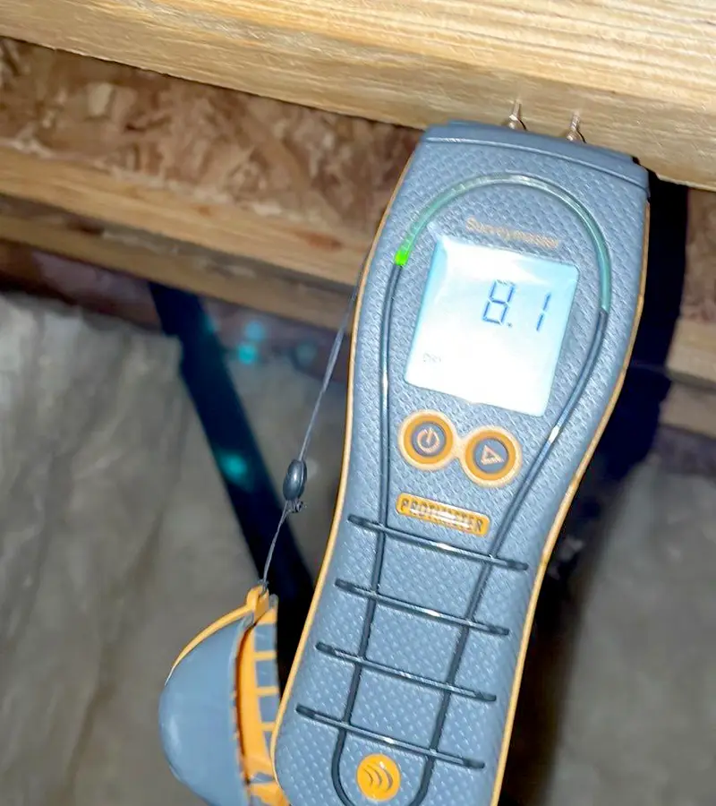 moisture meter device testing wood