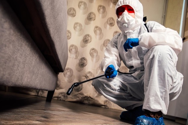 mold removal near me in Sheridan