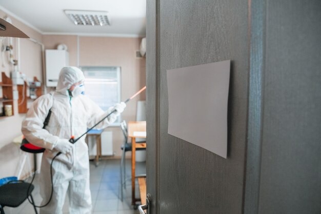 mold remediation service