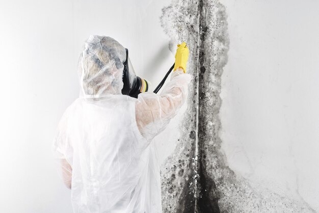 mold removal near me in Aurora, CO