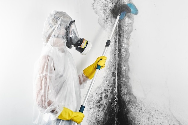 how to remove black mold