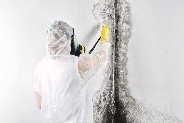 mold remediation