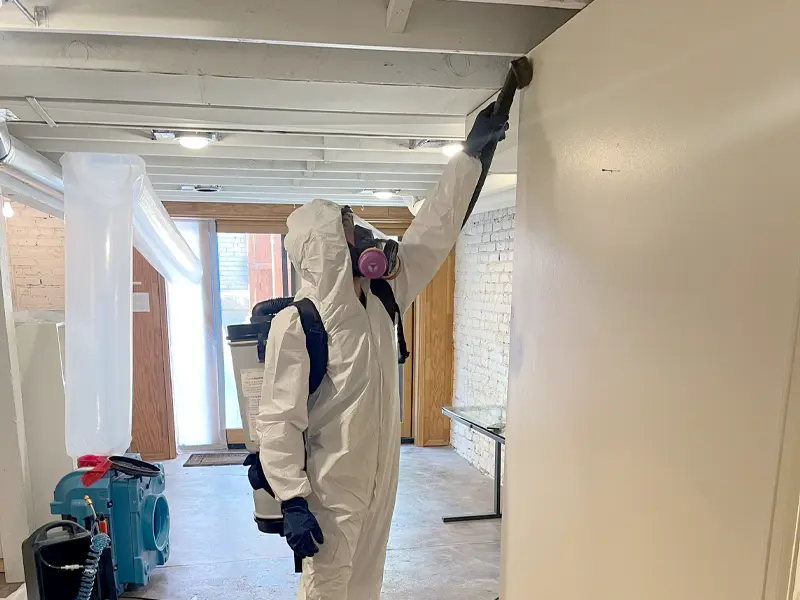 professional removing mold from home interior