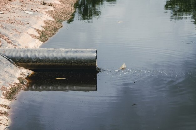 sewage backup cleanup