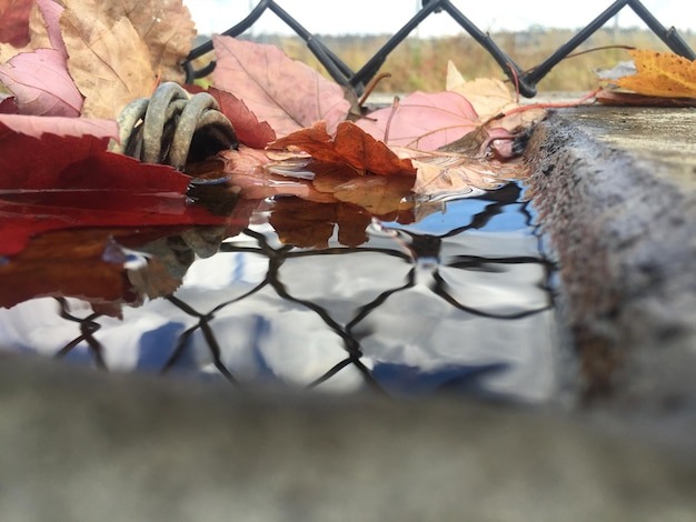 sewage cleanup in Sheridan